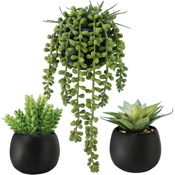 Set of 3 Artificial Succulents Plants in Black Cement Planters Faux Potted Plants Aloe String of Pearls Donkey Tail Small House Plants 5" Tall for Table Shelf Home Office Bathroom Living Room