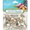 thumbnail image 2 of (4 pack) Craft Shells 150/Pkg-Natural, 2 of 3