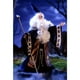 thumbnail image 3 of Muñeca Barbie Colección Magia y Misterio Merlin & Morgan le Fay, 3 of 5