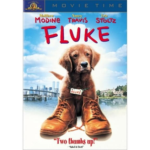 Fluke