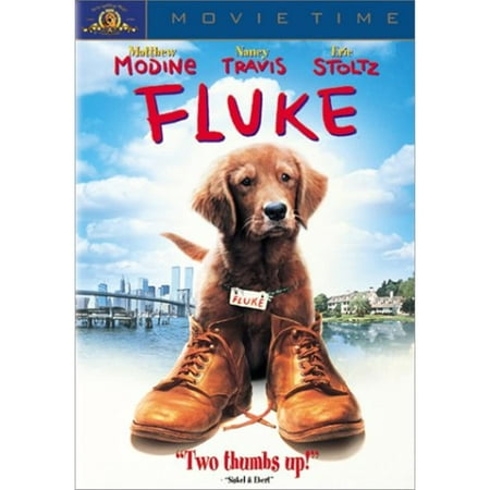 Fluke