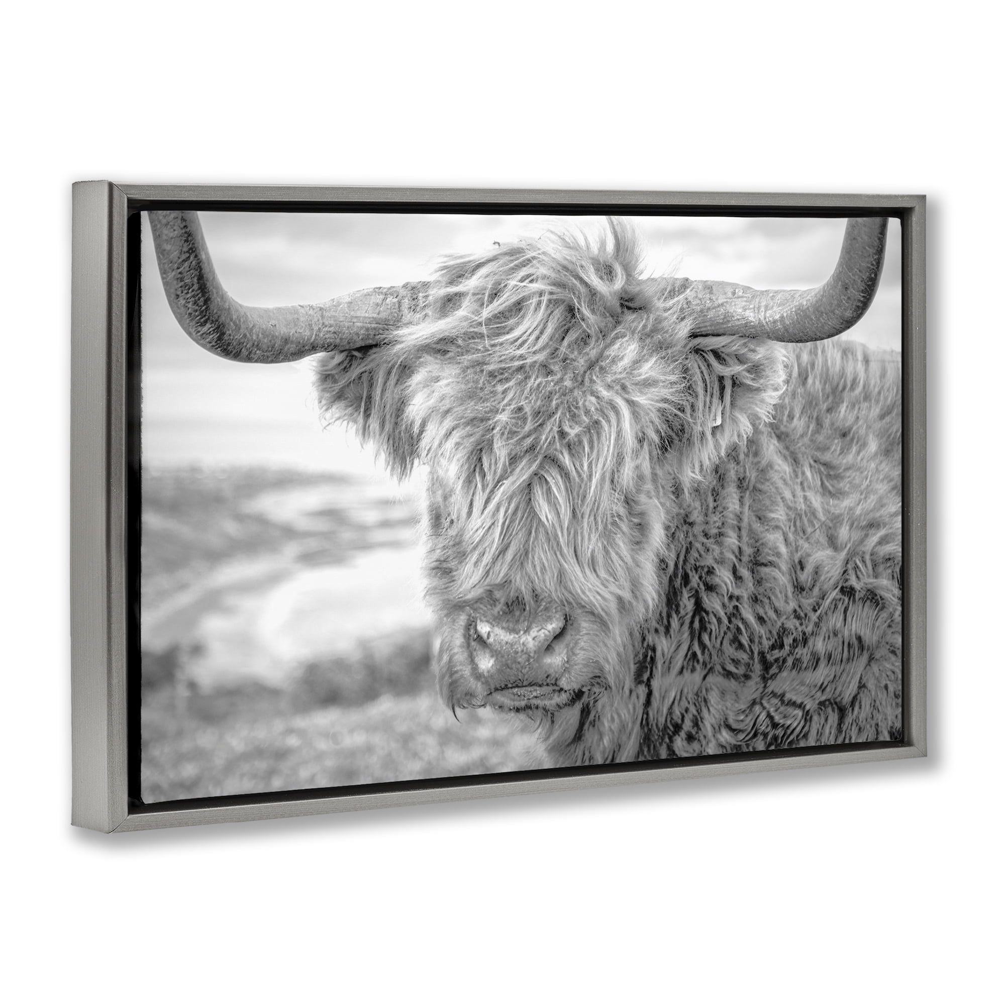 Stupell Industries Close Up Fuzzy Cattle Animals & Insects Photography Gray Floater Framed Canvas Art Print Wall Art, 31 x 21