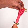 thumbnail image 2 of Illooms Mini Punch Rose Mix 10Pk, 2 of 8