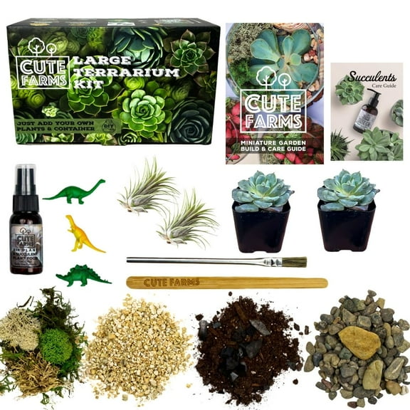 Cute Farms Terrarium Starter Kit | Moss, Vermiculite, Soil, Pebbles, Plant Food, Finishing Tools, Build and Care Guide | DIY Succulent Terrarium Kit for Adults and Kids (Large Kit Live Plants)