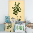 thumbnail image 2 of Designart ' Ancient Plant Life XXV ' Traditional Canvas Wall Art Print, 2 of 4
