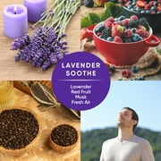 Pinalen Max Aromas Multipurpose Cleaner - Lavender Soothe Scent (56 fl oz)