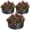 Black, variant on Superior Round Metal Raised Garden Bed – Galvanized Planter Box with Rust-Resistant Steel, Open Bottom, Safe Rubber Edging, Easy Assembly for Vegetables, Flowers, Fruits, 1 Piece Set, 2x1FT, White