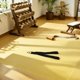 thumbnail image 4 of GOOHOCHY Accesorio De Gimnasio Para Tríceps Con Mango Ergonómico Para Entrenamiento Efectivo, 4 of 8