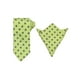 thumbnail image 1 of Conjuntos de corbatas para hombres INSPIRE CHIC, corbatas de lunares con pañuelo a juego para bodas y negocios, verde pera, 1 of 5