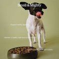thumbnail image 3 of Senior GF Small Breed - Dry Dog Food, 3 of 5