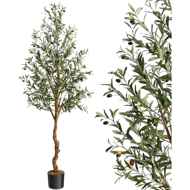 Qinaqin 6FT (72in) Alto Artificial Oliva Tree Fau x Silk Trees para Oficina en Casa y Living Sala de Profundidadcor Indoor Fake Potted con Natural Madera Trunk Lifelike Fruits