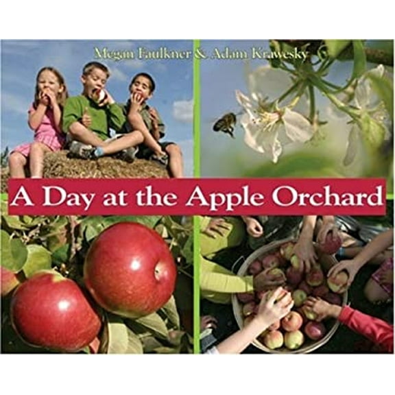 Pre-Owned A Day at the Apple Orchard (Paperback) 9780439957137