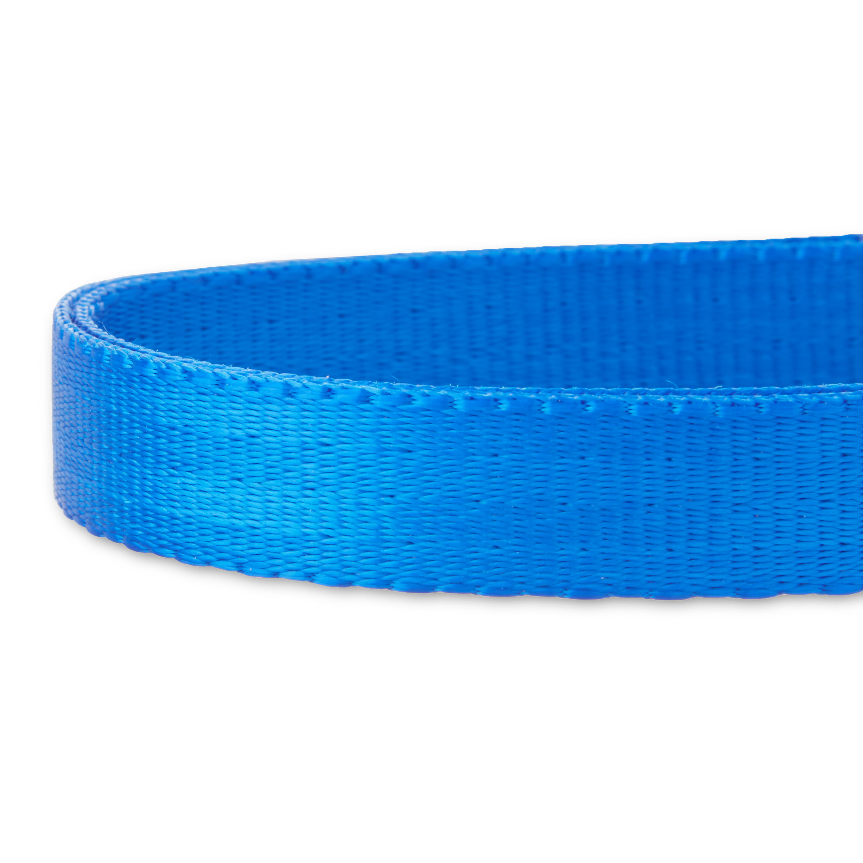 Vibrant Life Solid Nylon Dog Collar with Metal Buckle, Blue, Medium - image 4 of 7