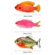 thumbnail image 5 of Juguetes interactivos de peces con cola de gato y hierba gatera., 5 of 8