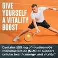 thumbnail image 2 of NMN Supplement 500mg – Nicotinamide Mononucleotide for Healthy Aging, Cellular Energy & Vitality – Third-Party Lab Tested, Non-GMO – 60 Capsules by Left Coast Performance, 2 of 6