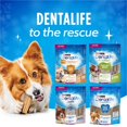 thumbnail image 2 of DentaLife Daily Oral Care Small/Medium Breed, Dental Dog Treats, 2 of 9