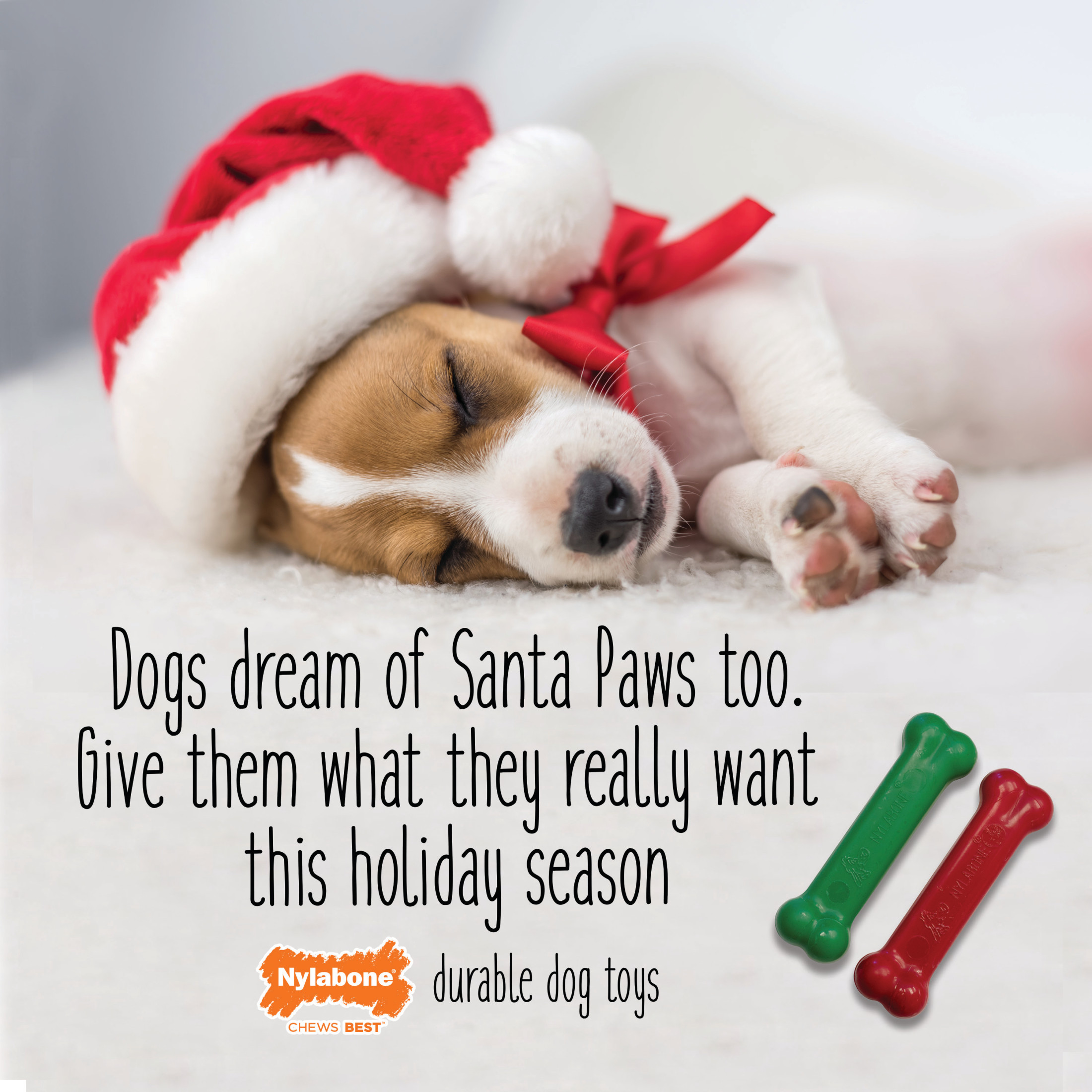 NYLABONE REG