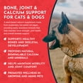 thumbnail image 6 of Animal Essentials Natural Seaweed Calcium for Dogs & Cats 12 oz, 6 of 9