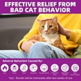 thumbnail image 4 of G · PEH Cat Pheromones Calming Diffuser Refill, Plug in 6 Pack Cat Calming Diffuser Refills Kit, 4 of 8