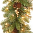 thumbnail image 3 of National Tree Company Pre-Lit Artificial Christmas Garland, Green, Glittery Pine, White Lights, Decorated With Pine Cones, Berry Clusters, Plug In, Christmas Collection, 9 Feet, 3 of 4