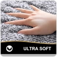 thumbnail image 2 of DISEN Bathroom Rugs 24x16, Extra Soft and Absorbent Microfiber Bath Mat, Non-Slip, Machine Washable, Quick Dry Shaggy Bath Carpet, Suitable for Bathroom Floor, Tub, Shower (Grey and White), 2 of 7