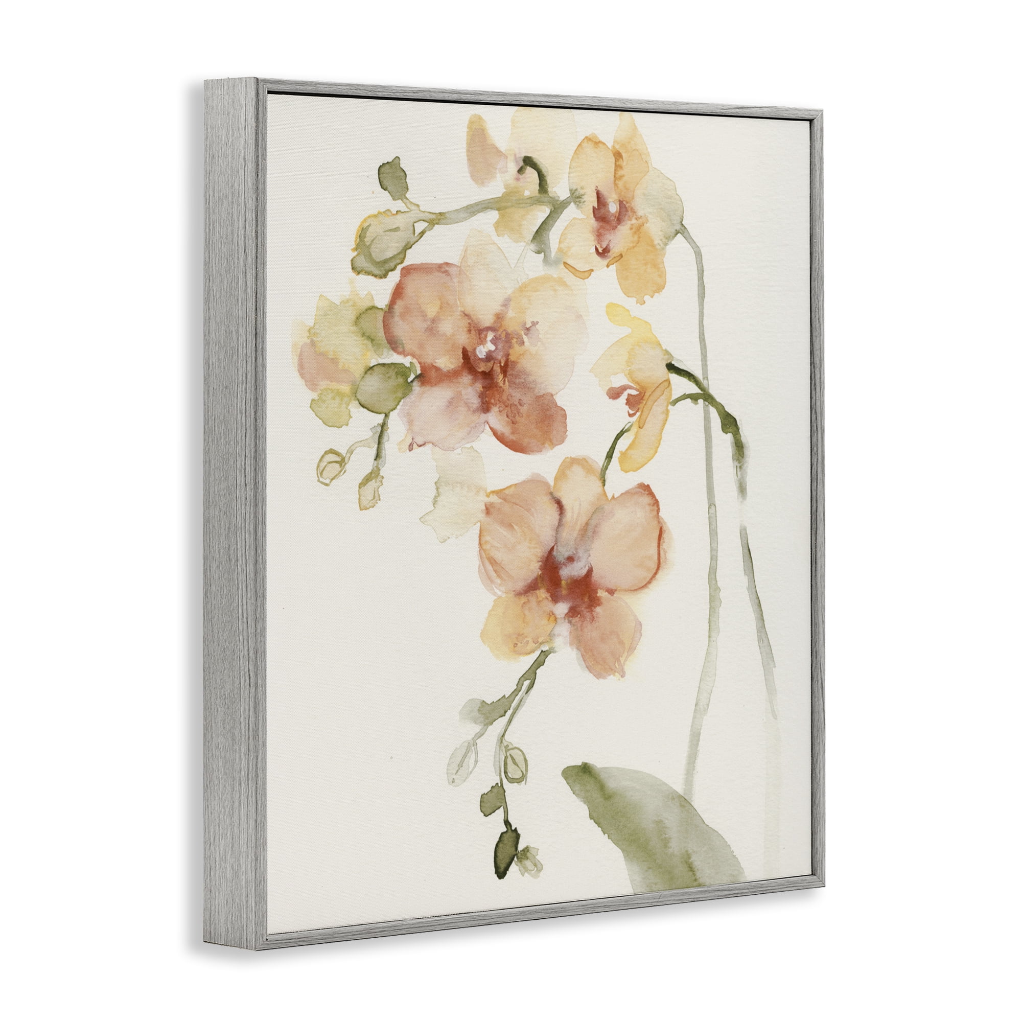 Stupell Industries Peach Orchid in Bloom Gray Framed Giclee Art, design by Victoria Barnes