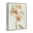thumbnail image 2 of Stupell Industries Transitional Peach Orchid in Bloom Gray Framed Giclee Art, 24 x 30, by Victoria Barnes, 2 of 8