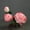 B, variant on Lucky Resin Ornaments Creative Du Dan Flowers Model Color Changing Tea Pet Decoration Accessories