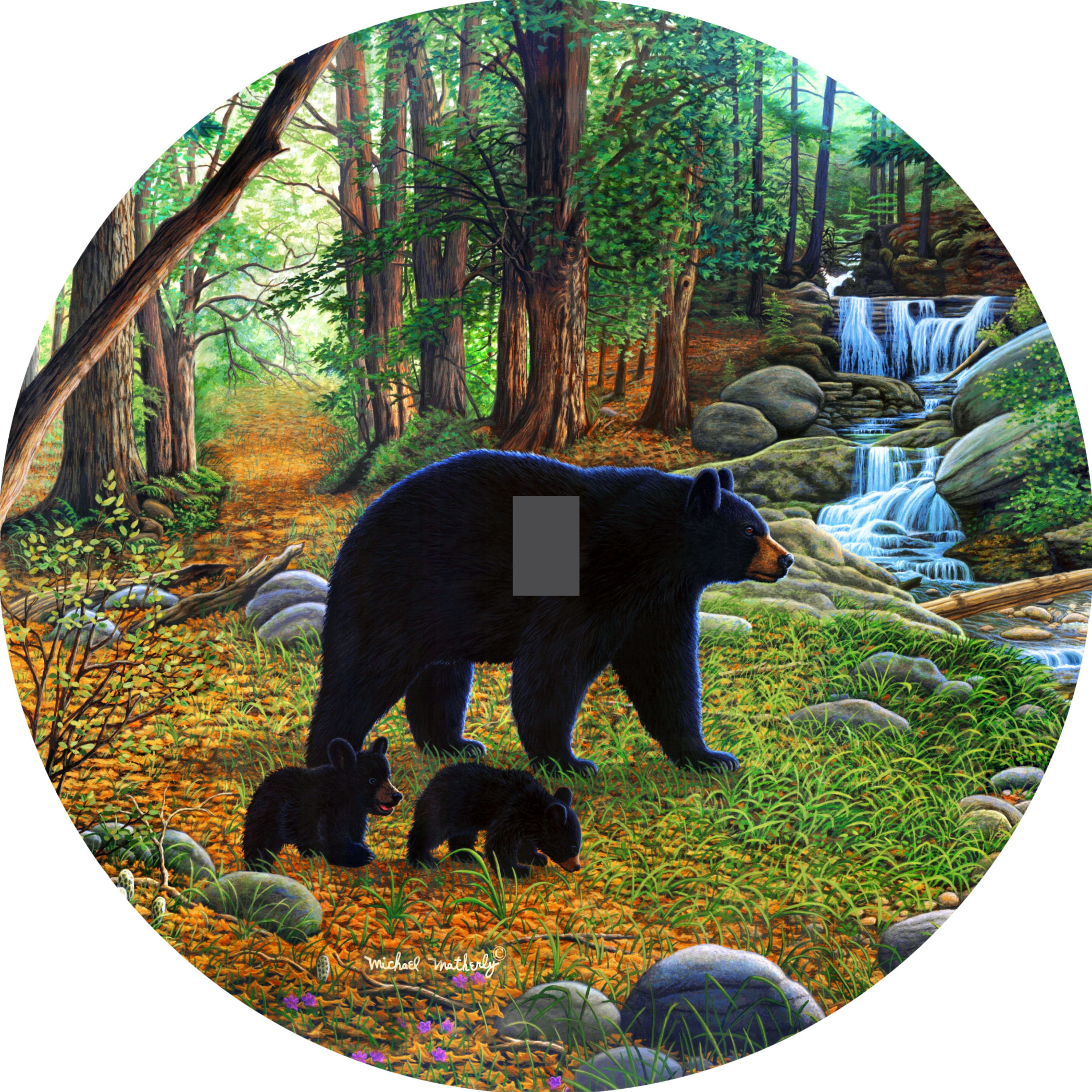 Tire Cover Central Black Bear and Cubs Spare Tire Cover 285/70r17 Center Camera Opening