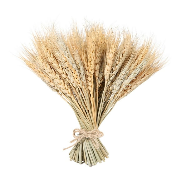 100X Natural Wheat Dried Flowers Dried Wheat Grass For Home Wedding Party Decor