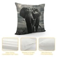 thumbnail image 4 of ONETECH African Elephant Throw Pillow Case Nature Wildlife African Elephant Pillow Cushion Covers Home Sofa Decorative, 4 of 5