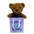 thumbnail image 3 of Way to Celebrate Mother's Day Plush Bear In Bag, 8inch, 3 of 5