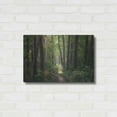 thumbnail image 3 of Luxe Metal Art 'Spring Chaos' by Martin Podt, Metal Wall Art, 24"x16", 3 of 8