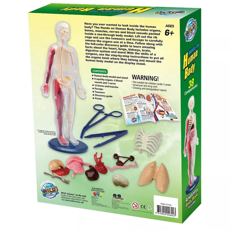 Wild! Science Hands-On Human Body Science Kit - Walmart.com