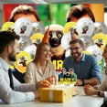 thumbnail image 7 of 32 PCS For Zoboomafoo Movie Themed Party Decorations and Favors Set, Backdrop, 18 Balloons, and 13 Cupcake Toppers for Celebration Birthday Parties Supplies, 7 of 7
