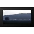thumbnail image 2 of Ferrua, Fulvio 18x11 Black Modern Framed Museum Art Print Titled - Sinfonia d autunno, 2 of 5