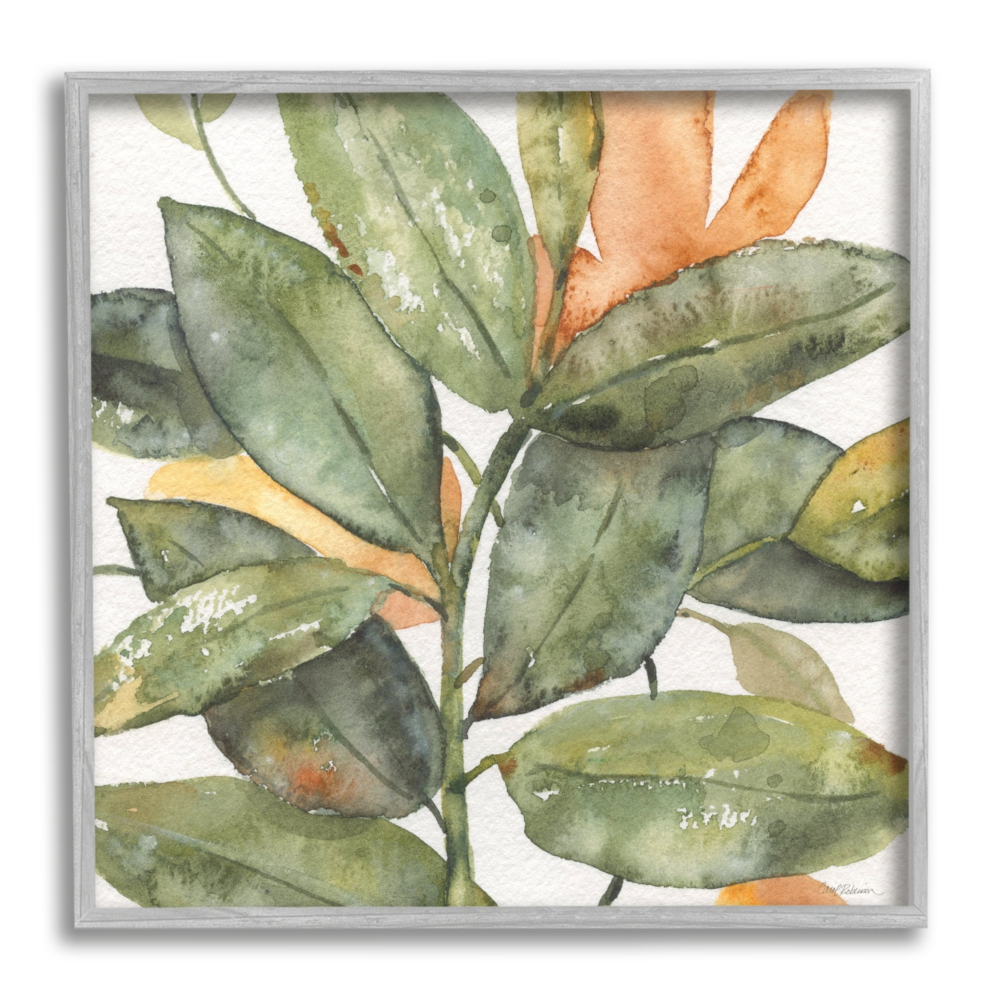 Stupell Industries Botanical Leaves Watercolor Plant Botanical & Floral Painting Gray Framed Art Print Wall Art