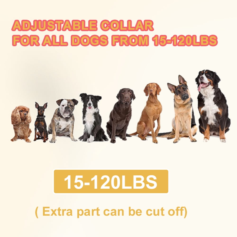 Electronic Fence for Dogs, to 800ft Adjustable Wireless Electric Fence