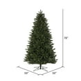 thumbnail image 2 of Vickerman 6.5' x 50" Boston Fraser Fir Artificial Christmas Tree, Unlit, 2 of 2