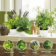 thumbnail image 3 of 4 Macetas Plantas Artificiales Barro Decoración Bonsai Verde, 3 of 5