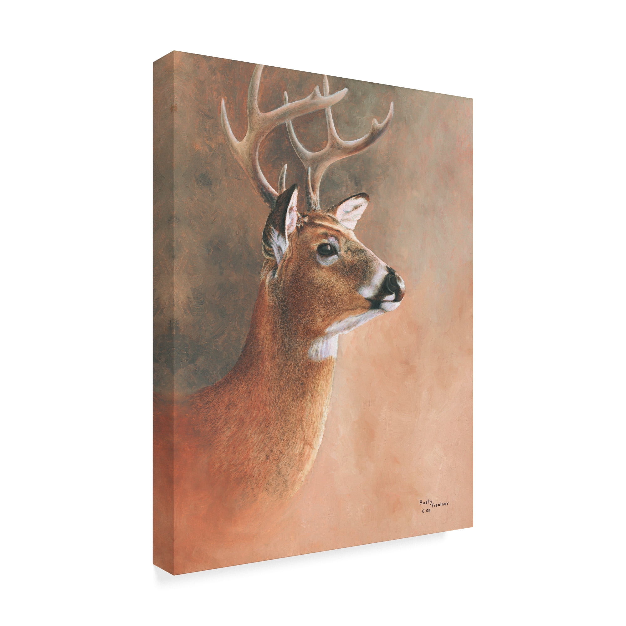 Trademark Fine Art 'Deer Close Up' Canvas Art by Rusty Frentner