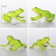 thumbnail image 4 of POINTERTECK Ensemble de 12 Pcs Modèle de Grenouille Tropicale Simulée en PVC, Jouet Grenouille, Cadeaux pour Enfants, Jeunes Enfants, Étudiants, 4 of 6