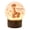 Giraffe, variant on Stony Creek 6.00In Stinkin' Cute Animal Pre-Lit Dome Vase, Glass, Baby Gift Child Room Skr9255sccl Animals