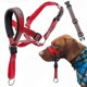 thumbnail image 1 of Dog Head Halter With Safety Strap, Dog Head Collar With Reflective Strap, No-pull Dog Collar Adjustable Dog Harness Training, 1 of 5