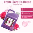 thumbnail image 5 of SVA Rose Water - 32 Fl oz - Refreshing Rose Water Spray for Skin Care, Skin Hydration, Bath, Soaps, Haircare & Aromatherapy, 5 of 7