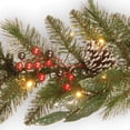thumbnail image 3 of National Tree Company 9 ft. Frosted Pine Berry Garland with Clear Lights, 3 of 3