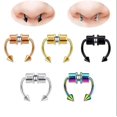 thumbnail image 4 of Piercing magnético de acero inoxidable para mujeres, hombres y niñas, anillo de nariz falso, Clip de nariz, joyería de moda, regalo, 4 of 4