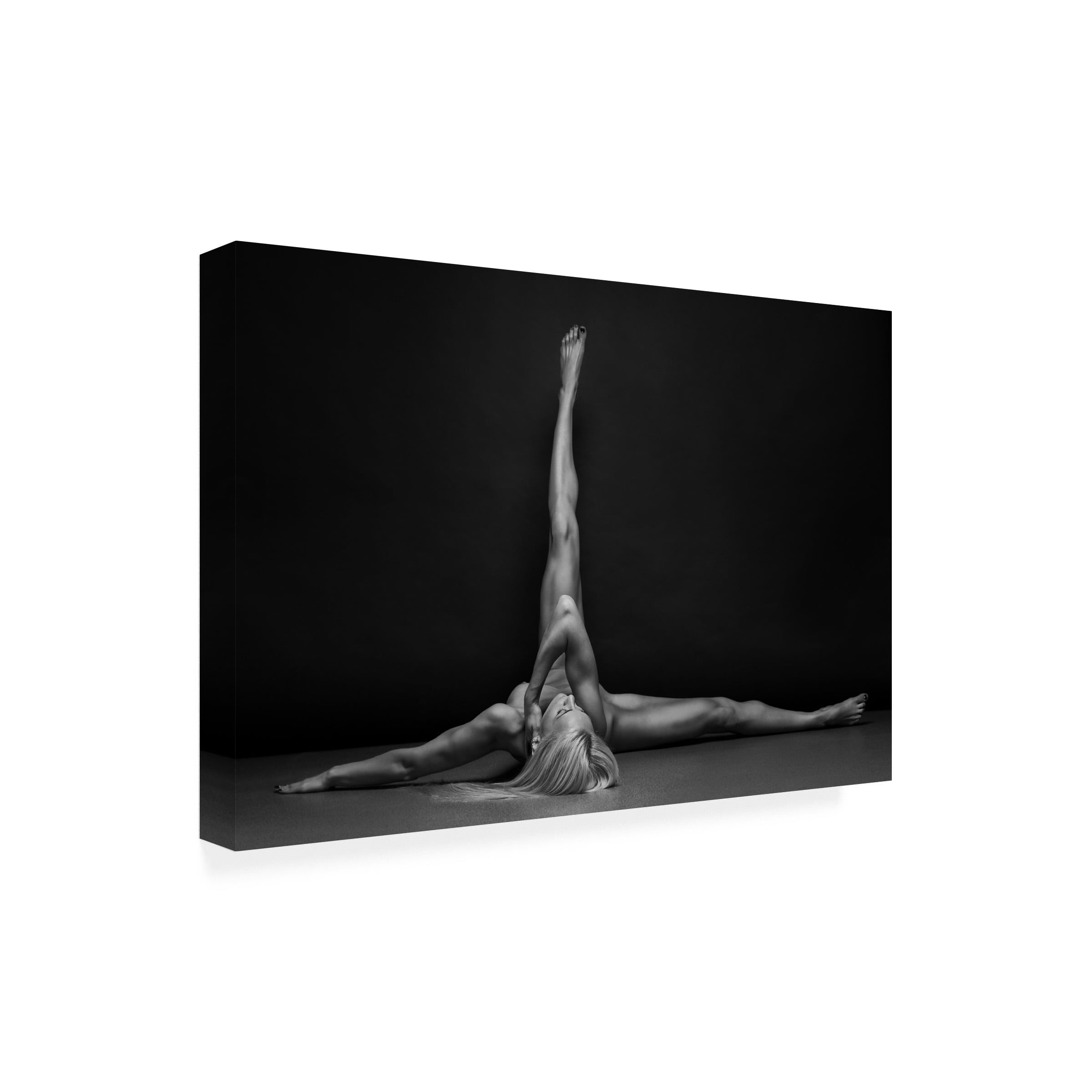 Trademark Fine Art Anton Belovodchenko Bodyscape Canvas Wall Art - 16x24