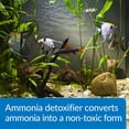 thumbnail image 3 of Desintoxicante de amoniaco API AMMO-LOCK para agua dulce/salada 473 ml, 3 of 6