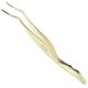 thumbnail image 1 of Miuffue Herramienta aplicadora de pestañas DIY Herramienta aplicadora de pestañas postizas Pinzas de pestañas curvas de acero inoxidable para pestañas en racimo Oro, 1 of 5